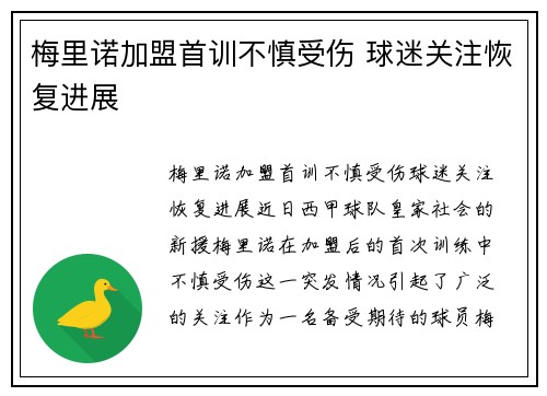 梅里诺加盟首训不慎受伤 球迷关注恢复进展 梅里诺加盟首训不慎受伤 球迷关注恢复进展
