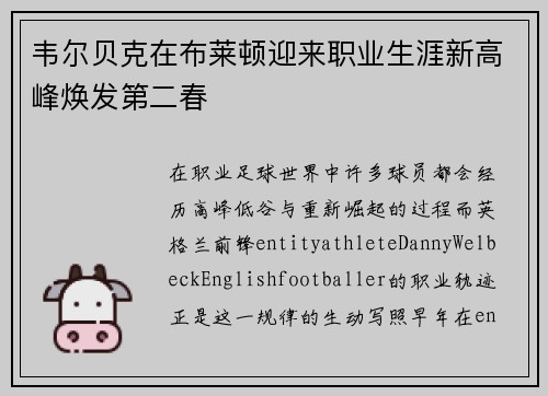 韦尔贝克在布莱顿迎来职业生涯新高峰焕发第二春