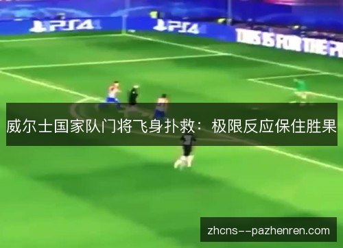 威尔士国家队门将飞身扑救：极限反应保住胜果